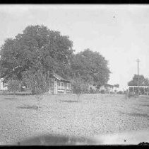 Negative, Glass Plate