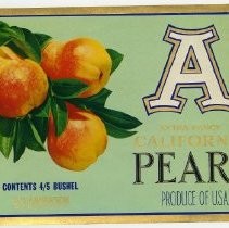 A Extra Fancy California Pears