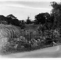 Golden Gate Park, San Francisco, CA