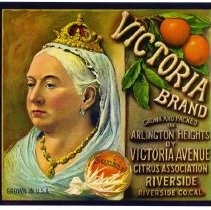 Victoria Brand