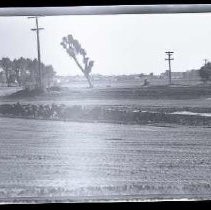 Negative, Safety, unknown