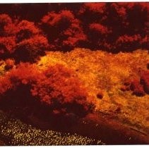 Photographs of landscape of Bolinas Bay, aerial infared