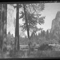 Yosemite view