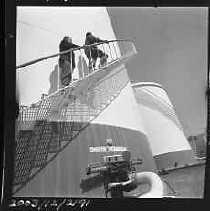 Negative, Safety, Unknown