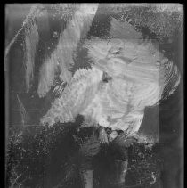 Negative, Glass Plate