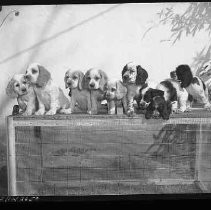 Negative, Safety, Unknown