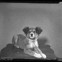 Negative, Safety, Unknown