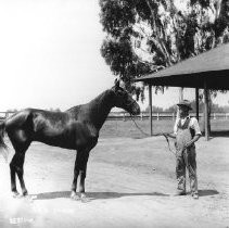 Harness Racer