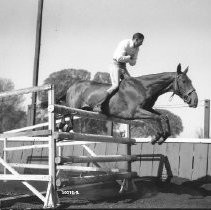 Horse Jumping