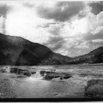 Mountain Meadow