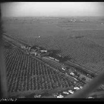 Negative, Safety, Unknown