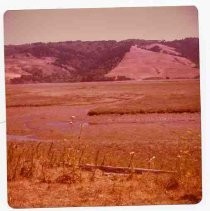 Photographs of landscape of Bolinas Bay