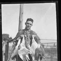 Hunter with dead geese