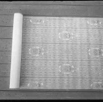 Negative, Glass Plate