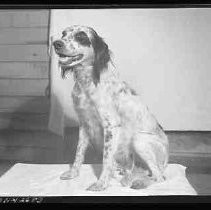 Negative, Safety, Unknown