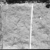 Negative, Glass Plate