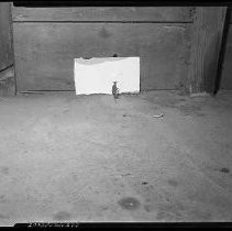 Negative, Safety, Unknown