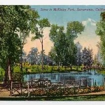 Scene in McKinley Park, Sacramento, California