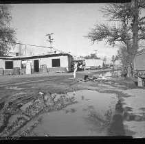 Negative, Safety, Unknown