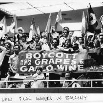UFW demonstration