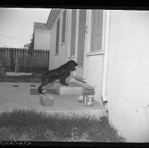 Negative, Safety, Unknown