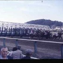 Golden Gate Fields racehorse track