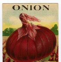 Onion seed packet