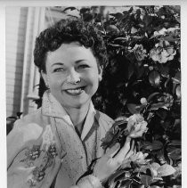 Virginia Carlson Knight, wife of Goodwin Knight, Governor of California from 1953-1959, with a camellia shrub