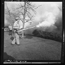 Negative, Safety, Unknown