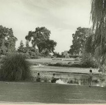 Land Park Pond