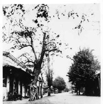 Main Street, Columbia, stage driver's recreation building on the left