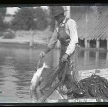 Man fishing with a net