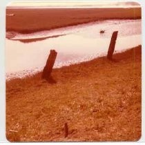 Photographs of landscape of Bolinas Bay. "Bolinas Lagoon, 8-77"