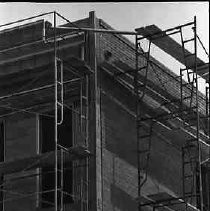 Negative, Safety, Unknown