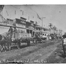 Tokay Carnival Lodi, California