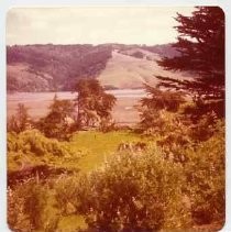 Photographs of landscape of Bolinas Bay. Bolinas Lagoon