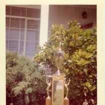 Print, Photographic, Color