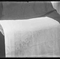 Negative, Glass Plate