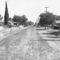 Boxwood North from Calavados