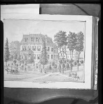 Negative, Safety, Unknown