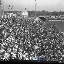 Negative, Safety, Unknown