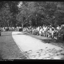 Negative, Safety, Unknown