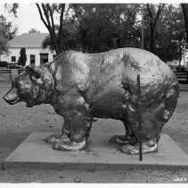 Golden Bear at the California State Fair