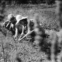 Print, Photographic, Black and White