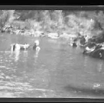 Rattlesnake Bridge July 4th, 1932