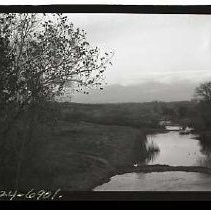 Negative, Safety, unknown