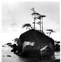 A rocky isle off Crescent City