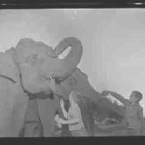 Negative, Safety, Unknown