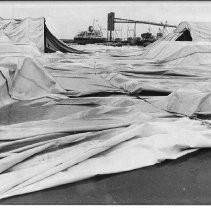 Huge Tent Blown Down