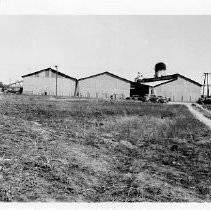 Bercut Richards Box Plant